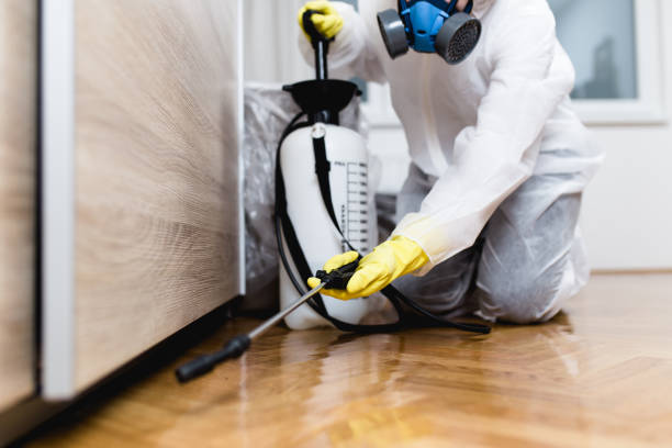 Best Pest Inspection Near Me  in Manassas Park, VA