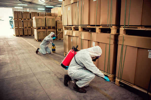 Best Pest Control Treatment  in Manassas Park, VA