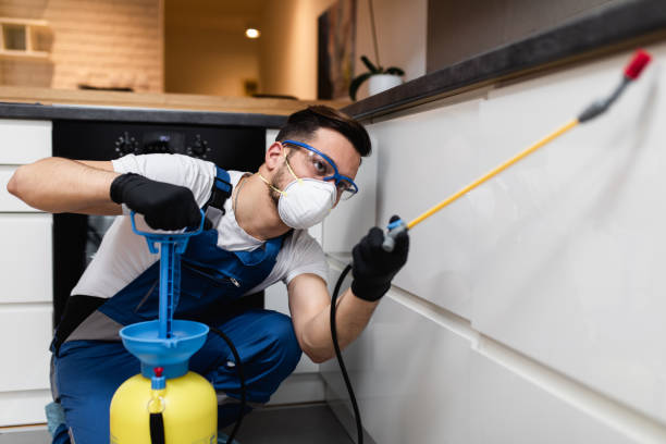 Best Rat Extermination Near Me  in Manassas Park, VA