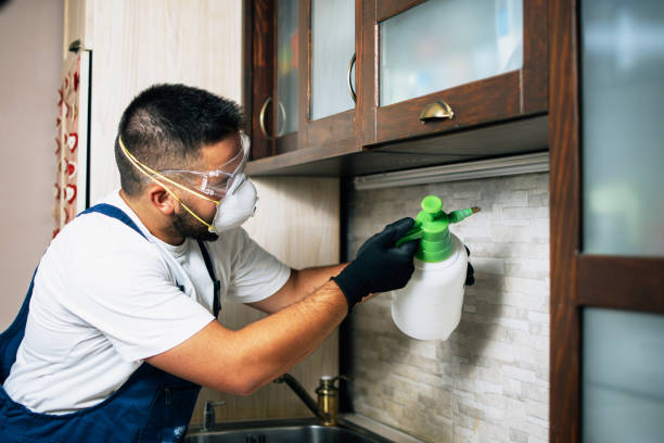 Best Emergency Pest Control  in Manassas Park, VA