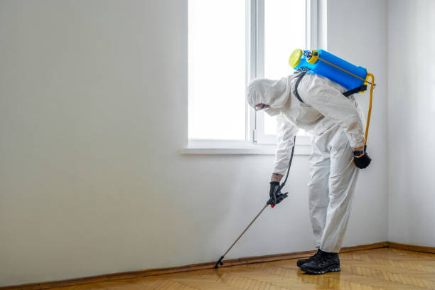 Best Best Pest Control Near Me  in Manassas Park, VA