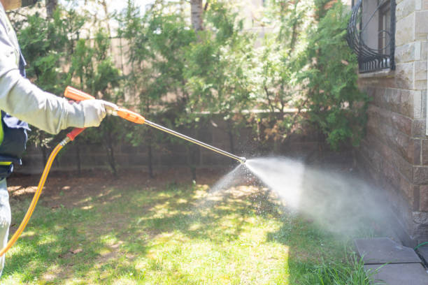 Best Bird Control  in Manassas Park, VA