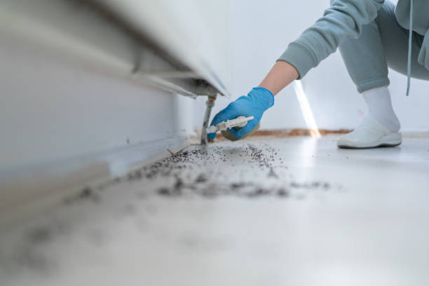 Trusted Manassas Park, VA Pest Control Experts