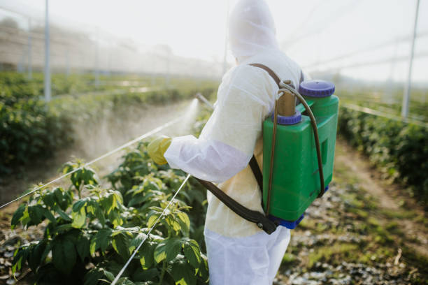 Best Wildlife Control Services  in Manassas Park, VA
